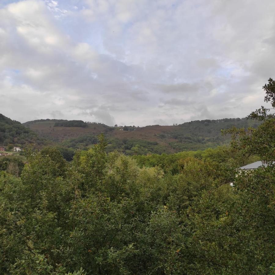 Apartamento Amezti Elizondo Exteriér fotografie